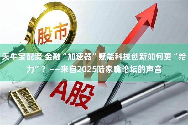 天牛宝配资 金融“加速器”赋能科技创新如何更“给力”？——来自2025陆家嘴论坛的声音