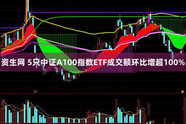 资生网 5只中证A100指数ETF成交额环比增超100%