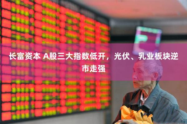 长富资本 A股三大指数低开，光伏、乳业板块逆市走强