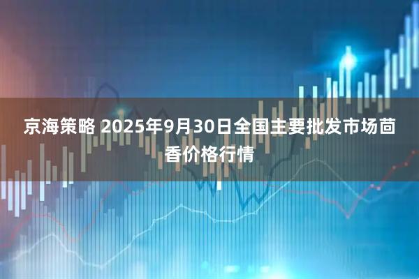京海策略 2025年9月30日全国主要批发市场茴香价格行情